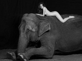 Vanessa Von Zitzewitz-Nude girl with an elephant