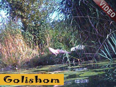 A fisherman saw a lonely nudist in the bushes-video